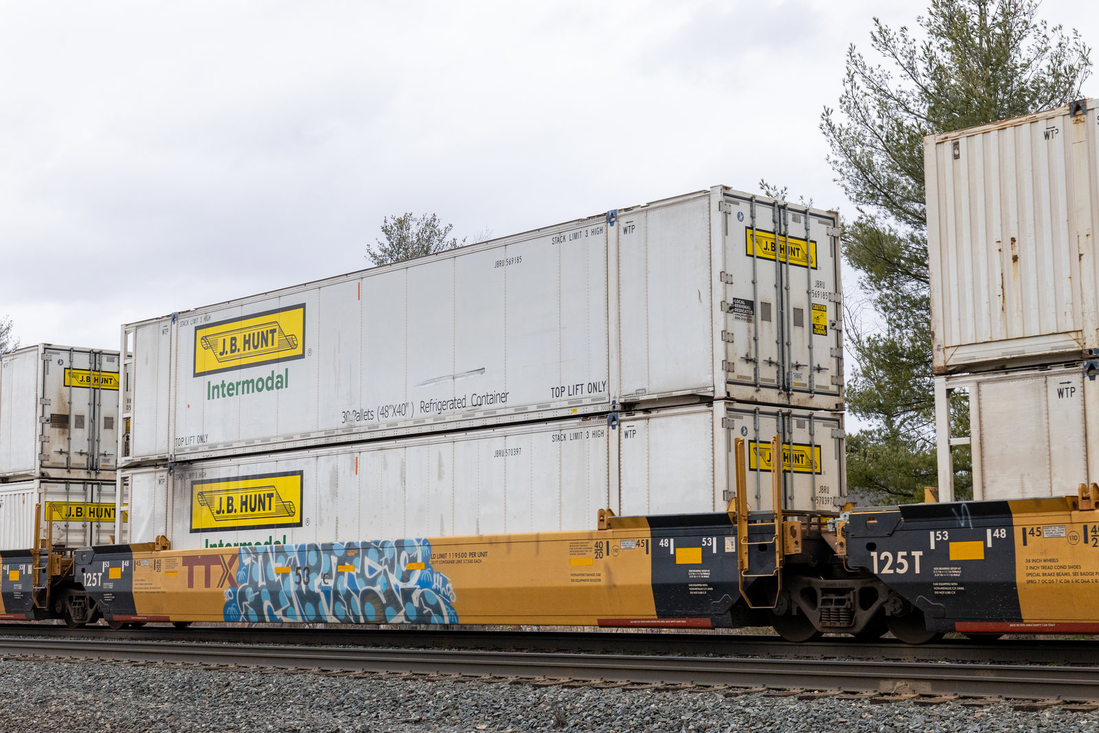 DTTX 795415C