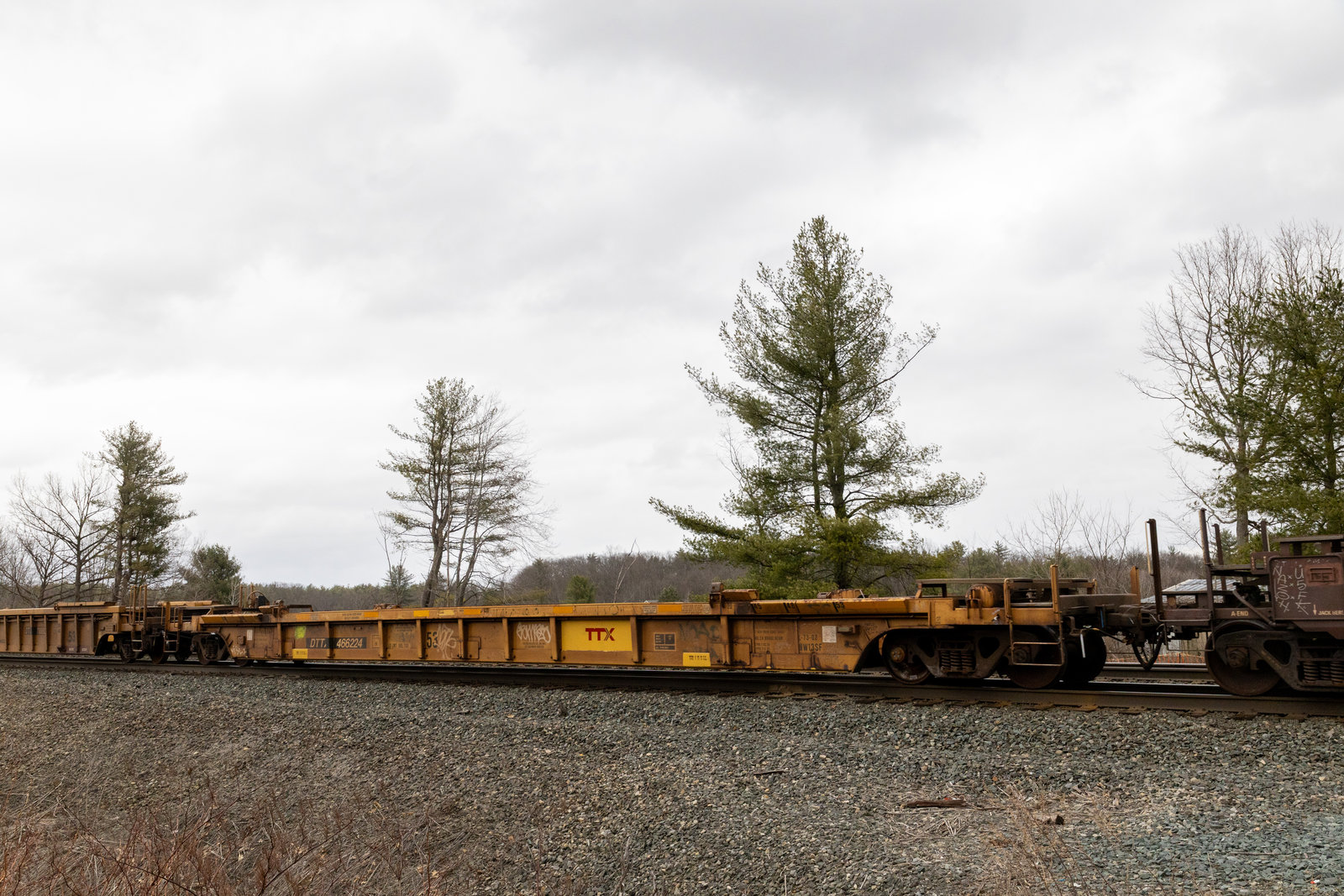 DTTX 466224