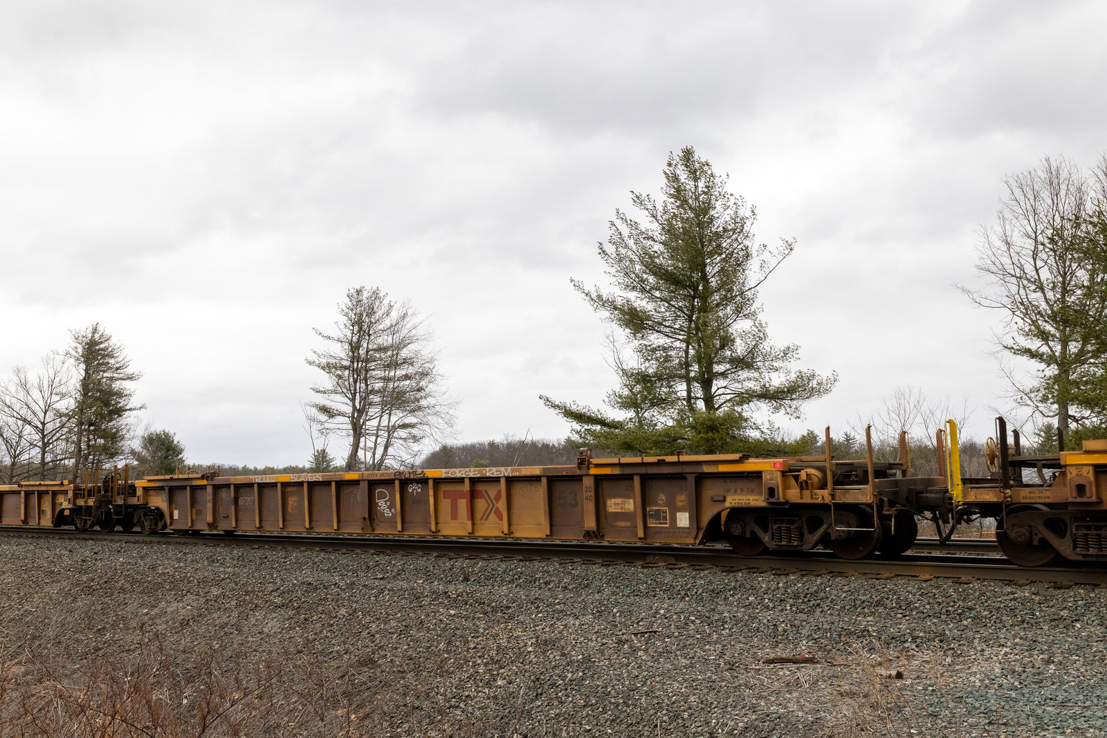 DTTX 657317