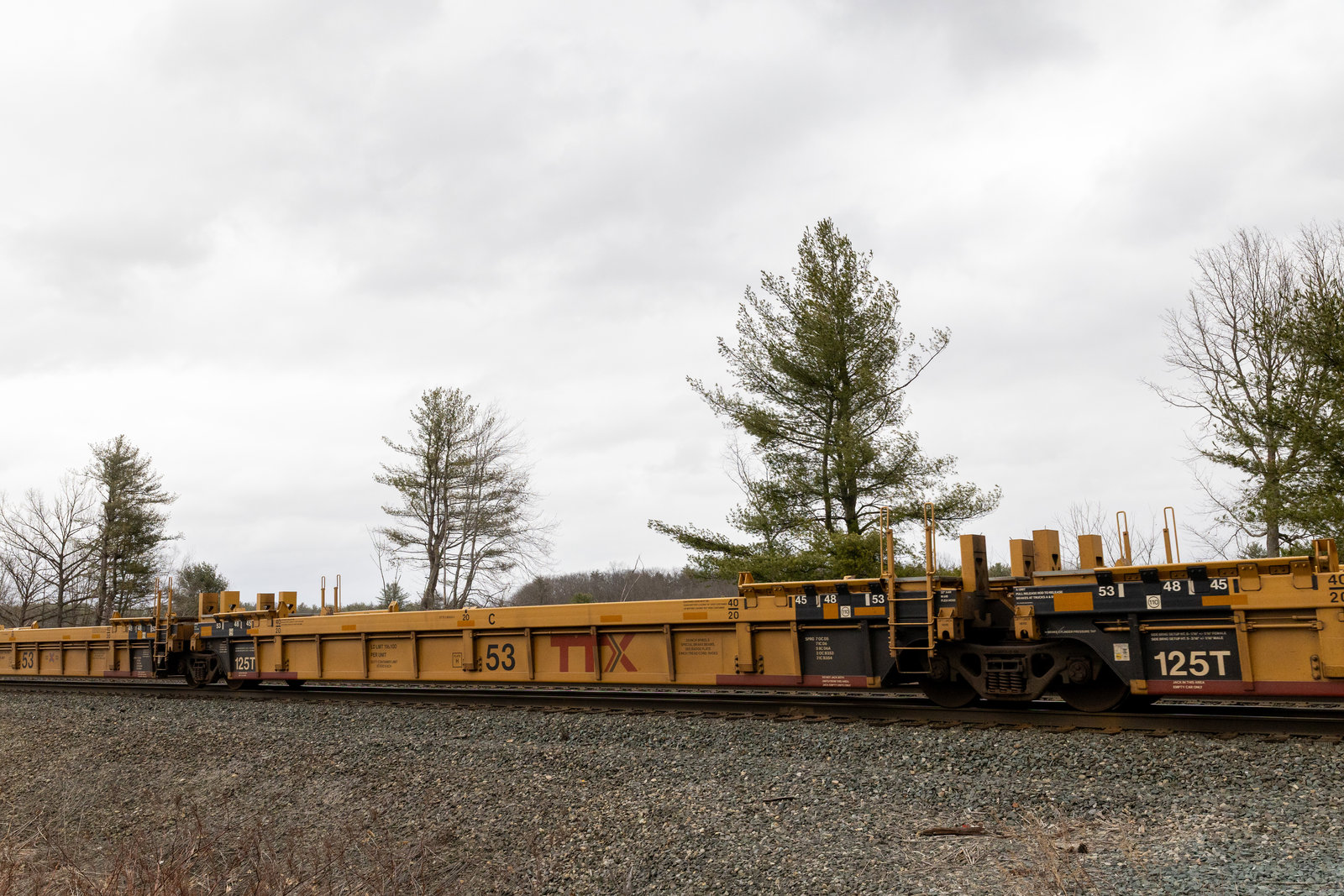 DTTX 730533C