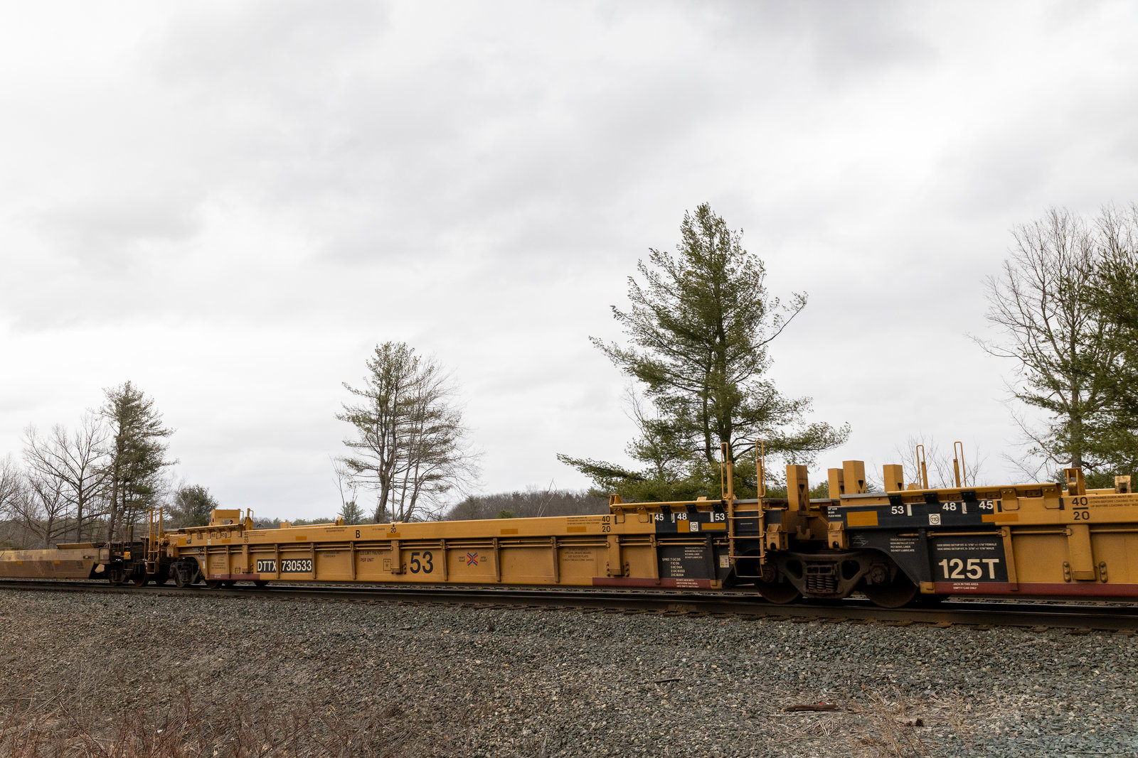 DTTX 730533B
