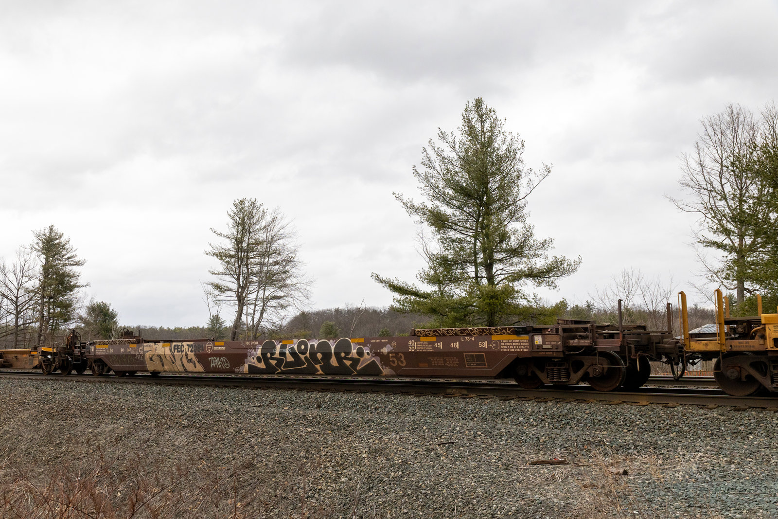 FEC 72081