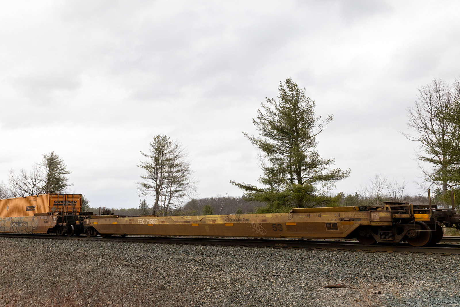 FEC 71555