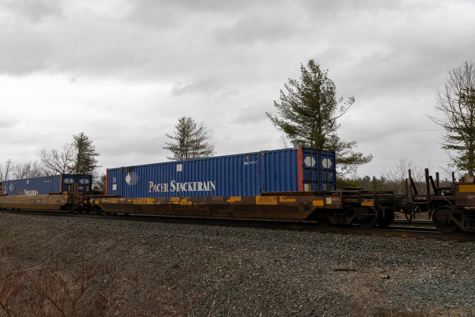 FEC 71036