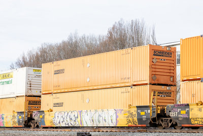 DTTX 795368C