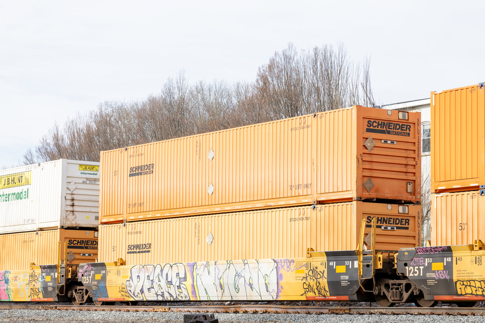 DTTX 795368C