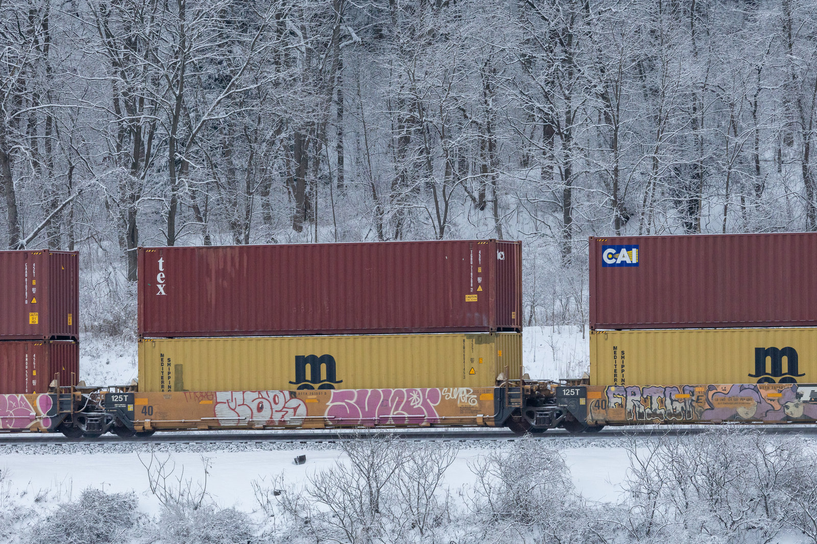 DTTX 751501D