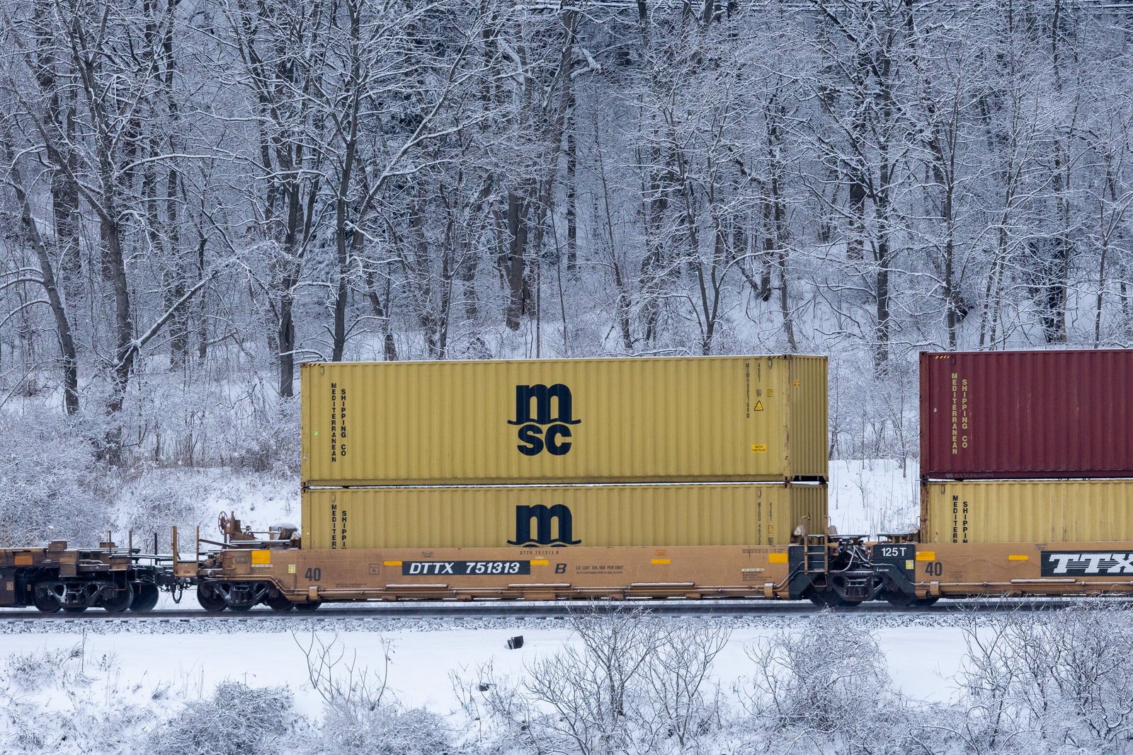 DTTX 751313B