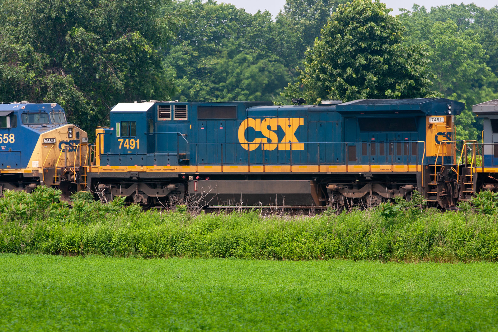 CSXT 7491