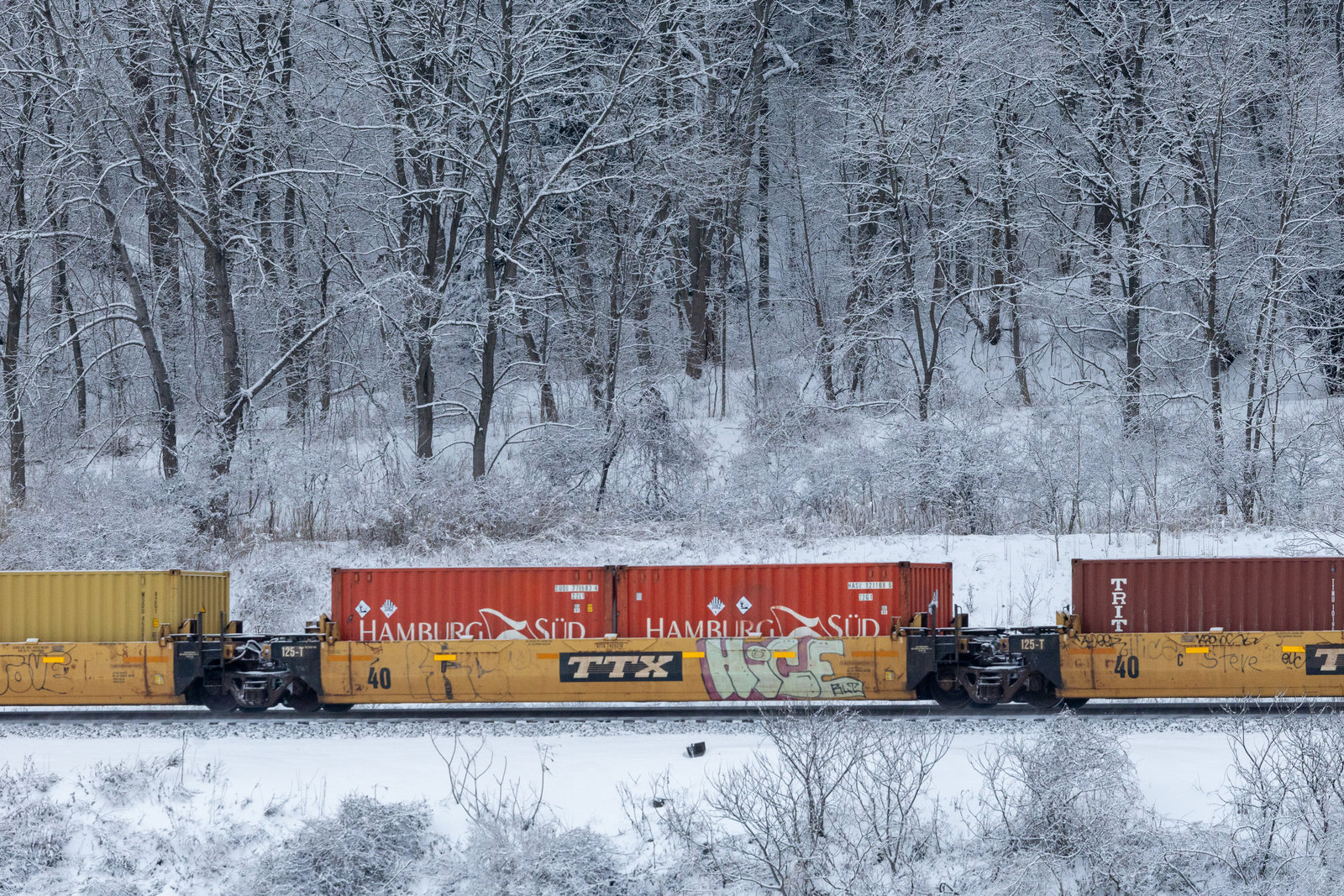 DTTX 742521D