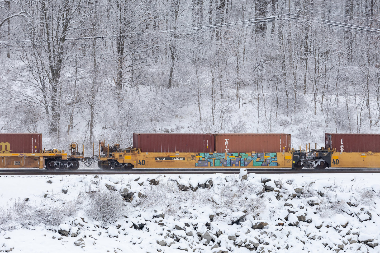 DTTX 743946B