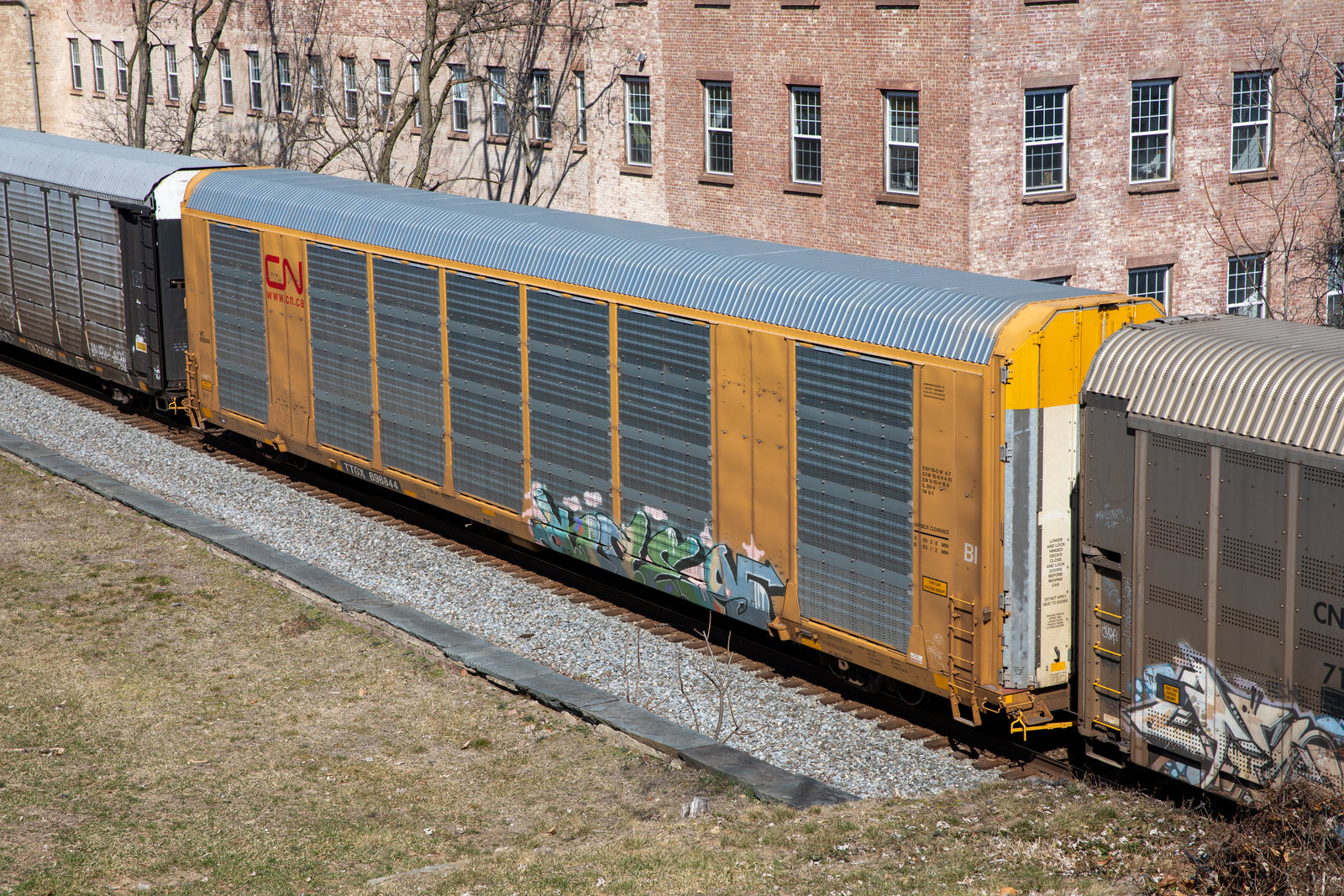 TTGX 696844