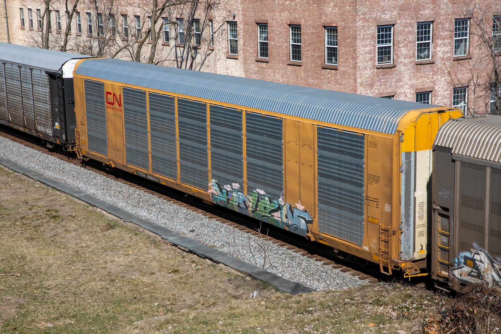 TTGX 696844