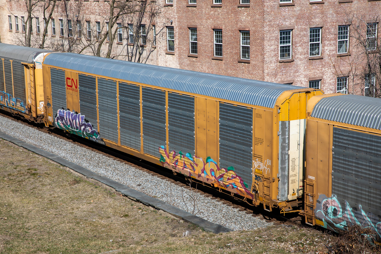 TTGX 695906