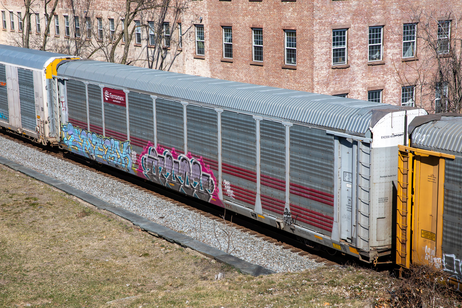 TTGX 705585