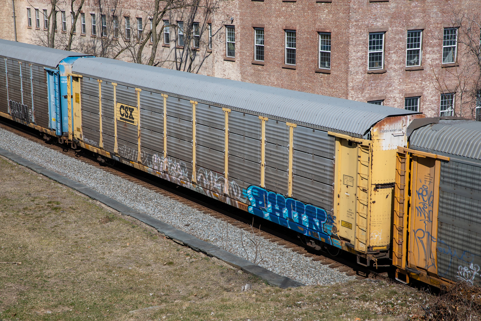 TTGX 983581