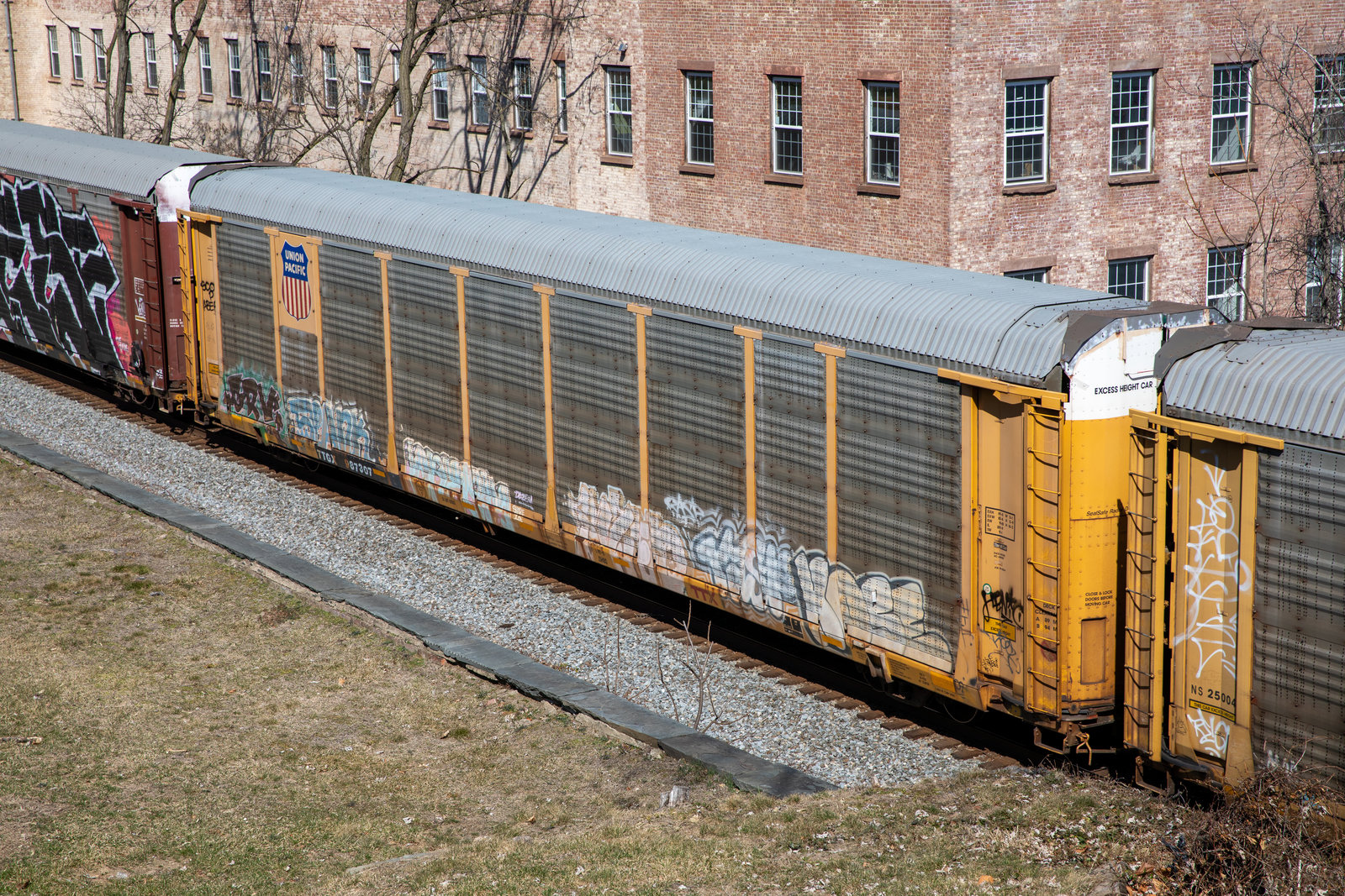 TTGX 987307