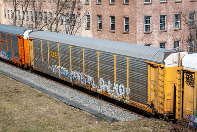 TTGX 994243