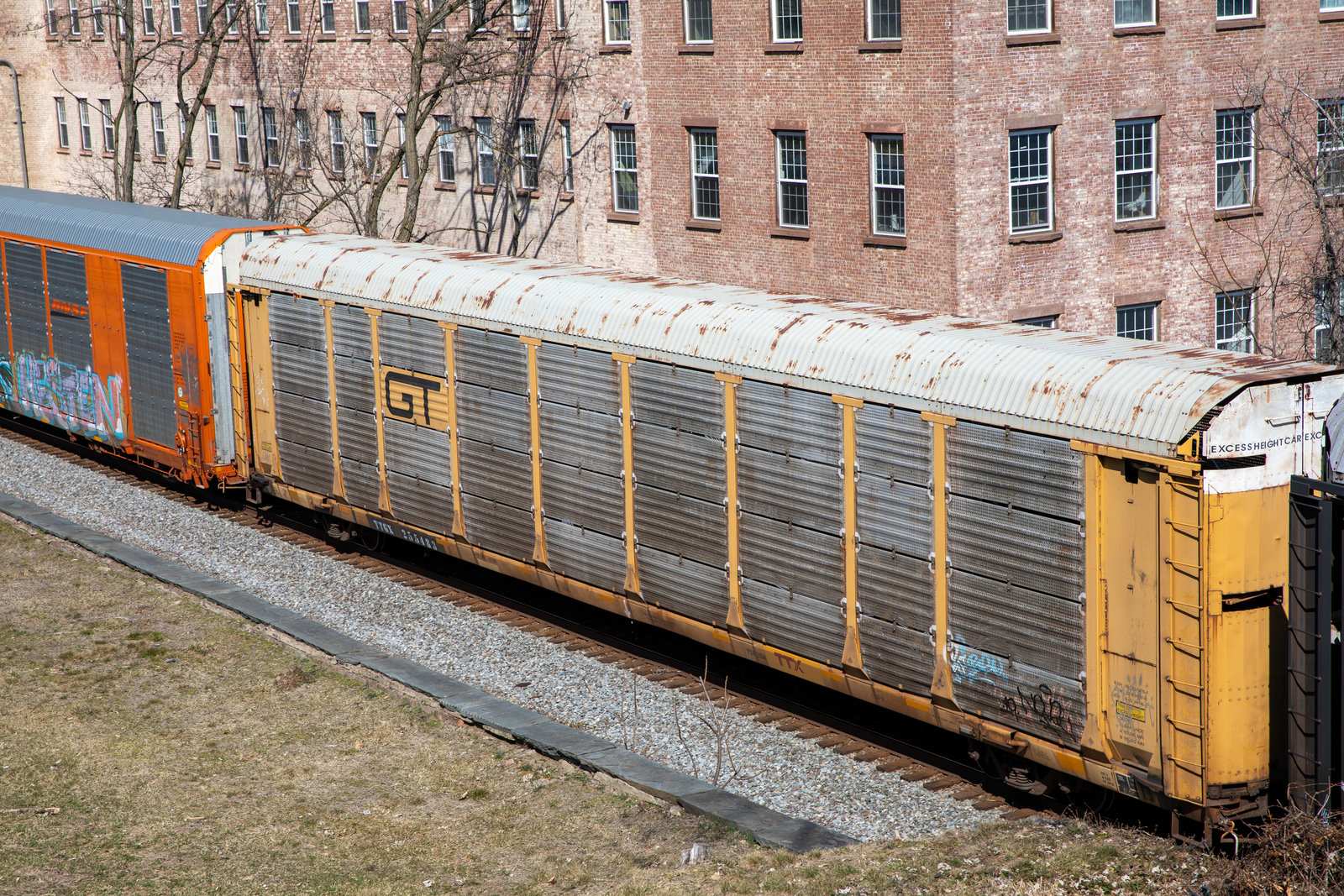 TTGX 255483