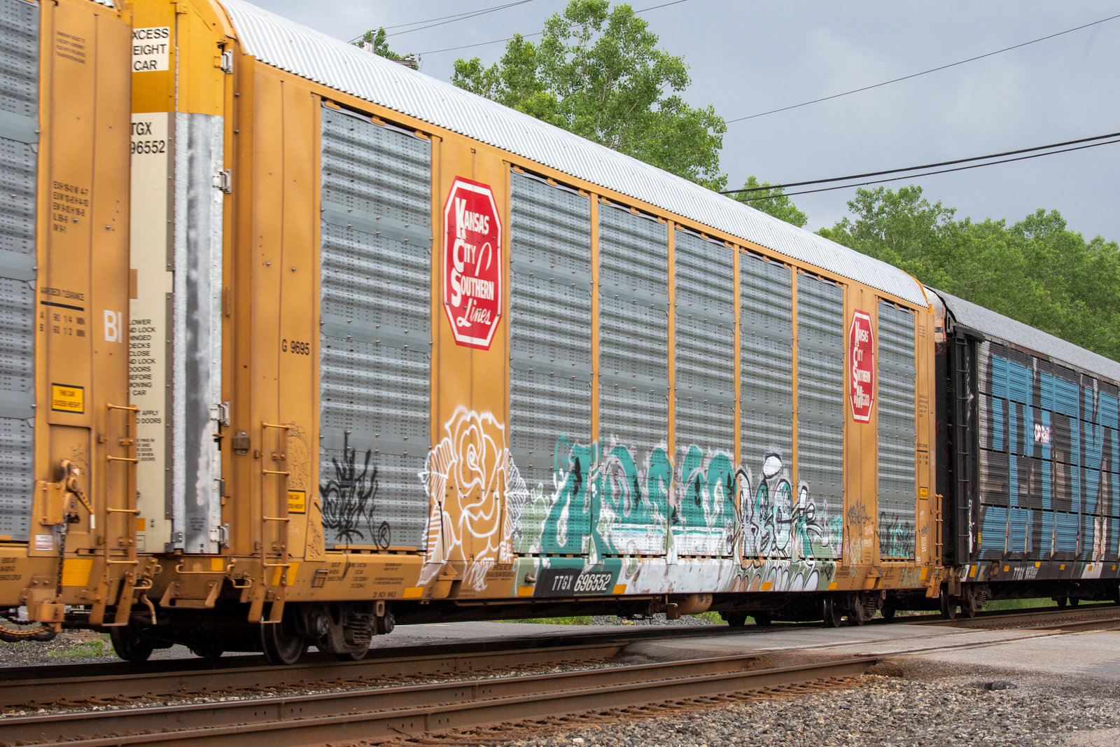 TTGX 696552
