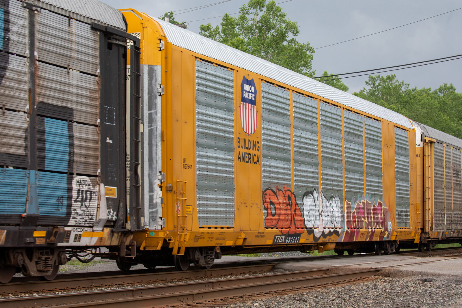 TTGX 697547