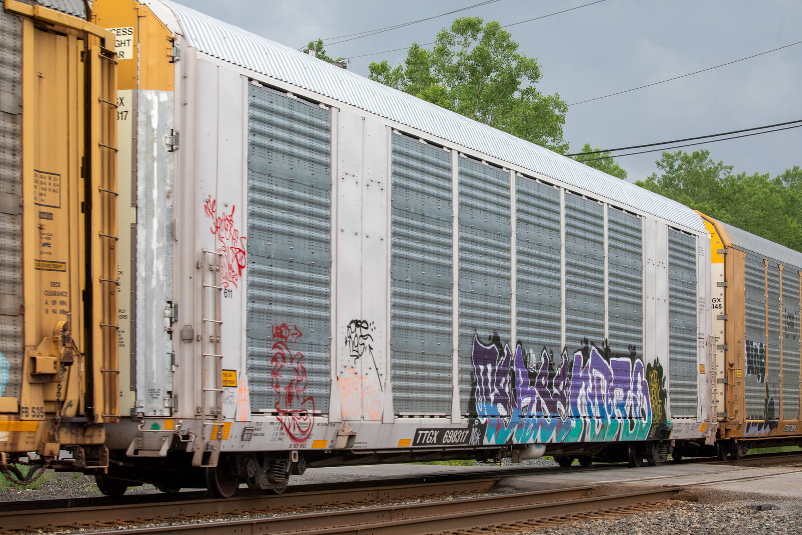 TTGX 698317