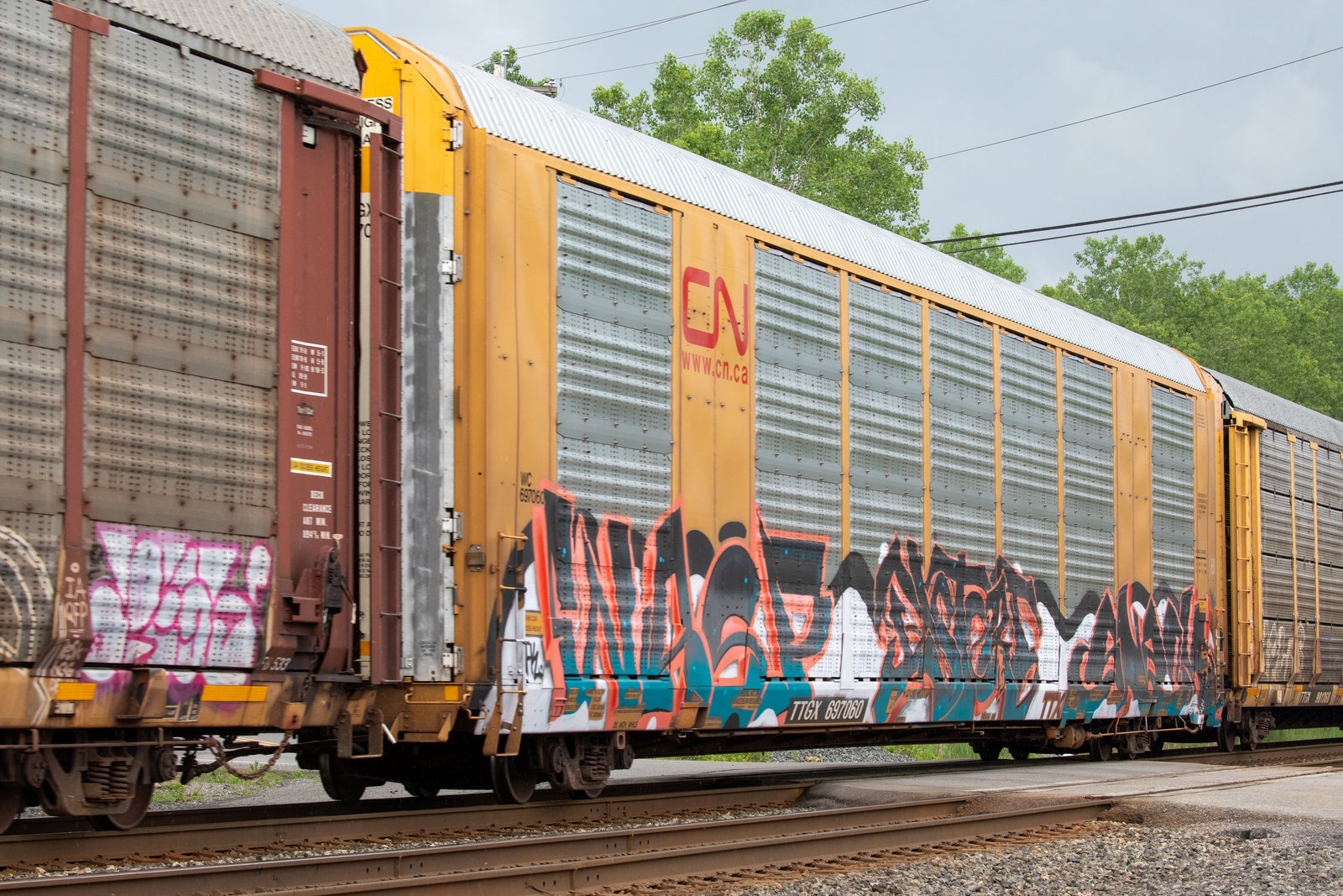 TTGX 697060