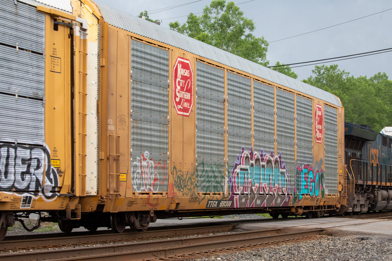 TTGX 691308