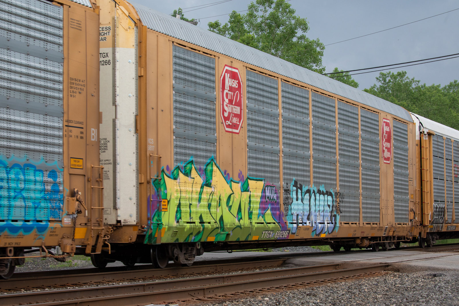 TTGX 691266