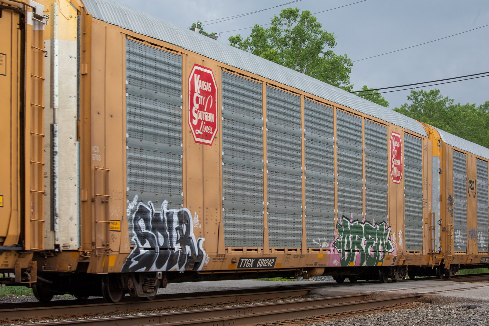 TTGX 691242