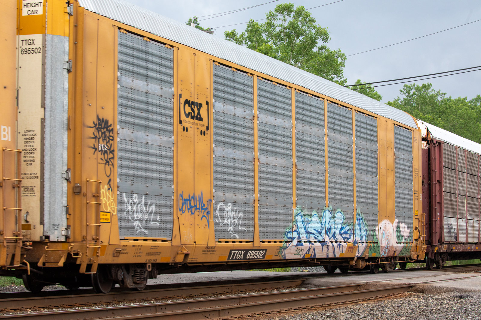 TTGX 695502