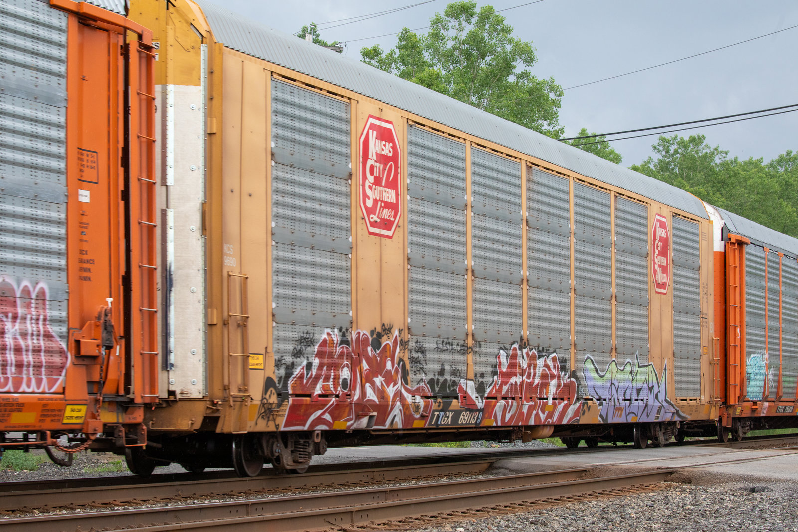 TTGX 691139