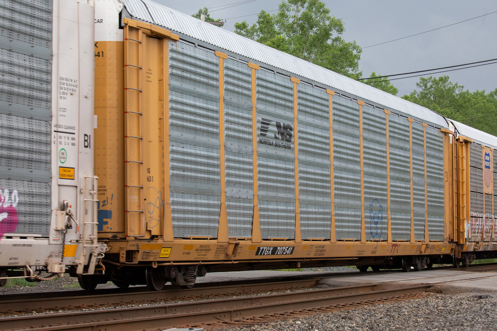 TTGX 707541