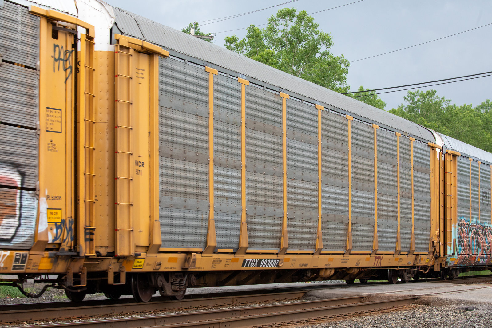 TTGX 993607