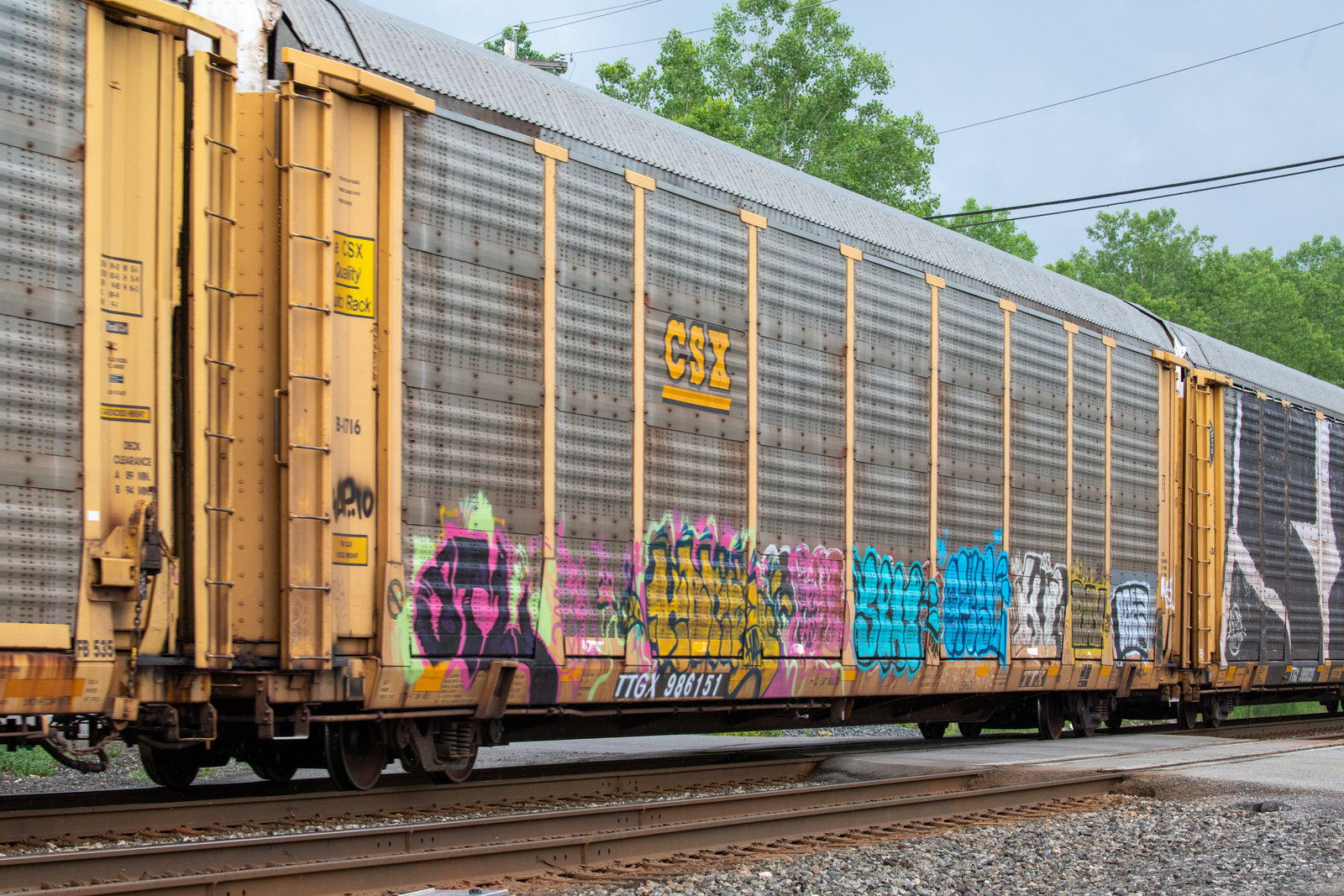 TTGX 986151