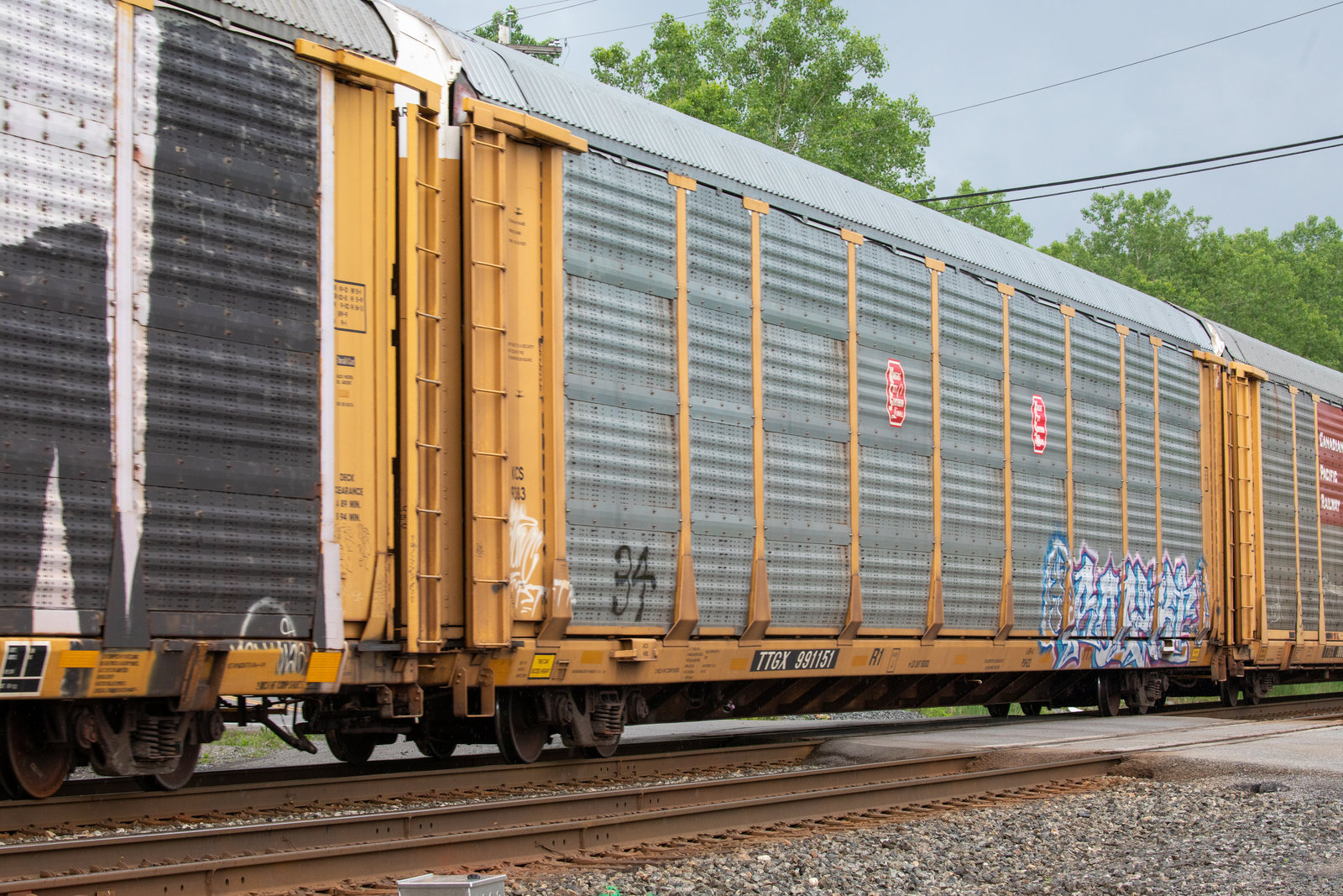 TTGX 991151
