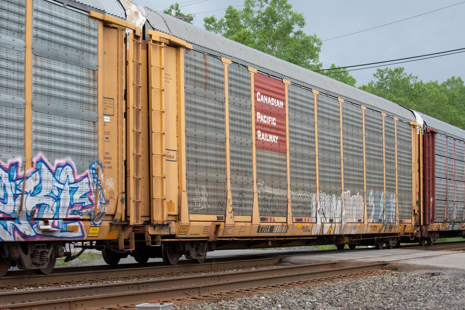 TTGX 988880