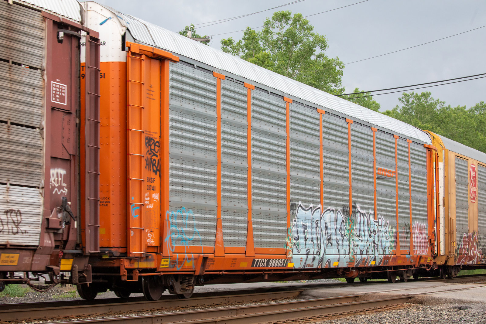 TTGX 988051