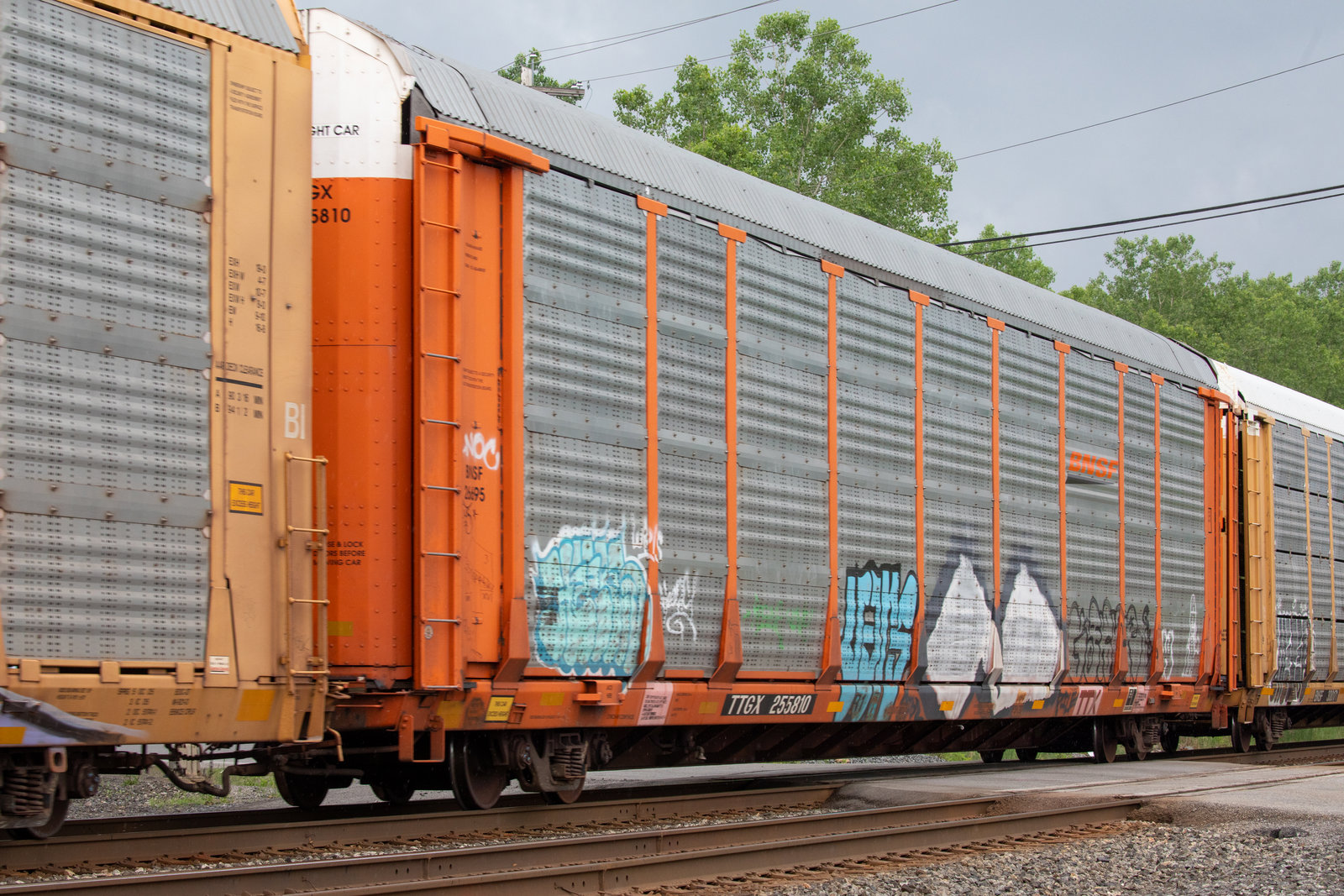 TTGX 255810