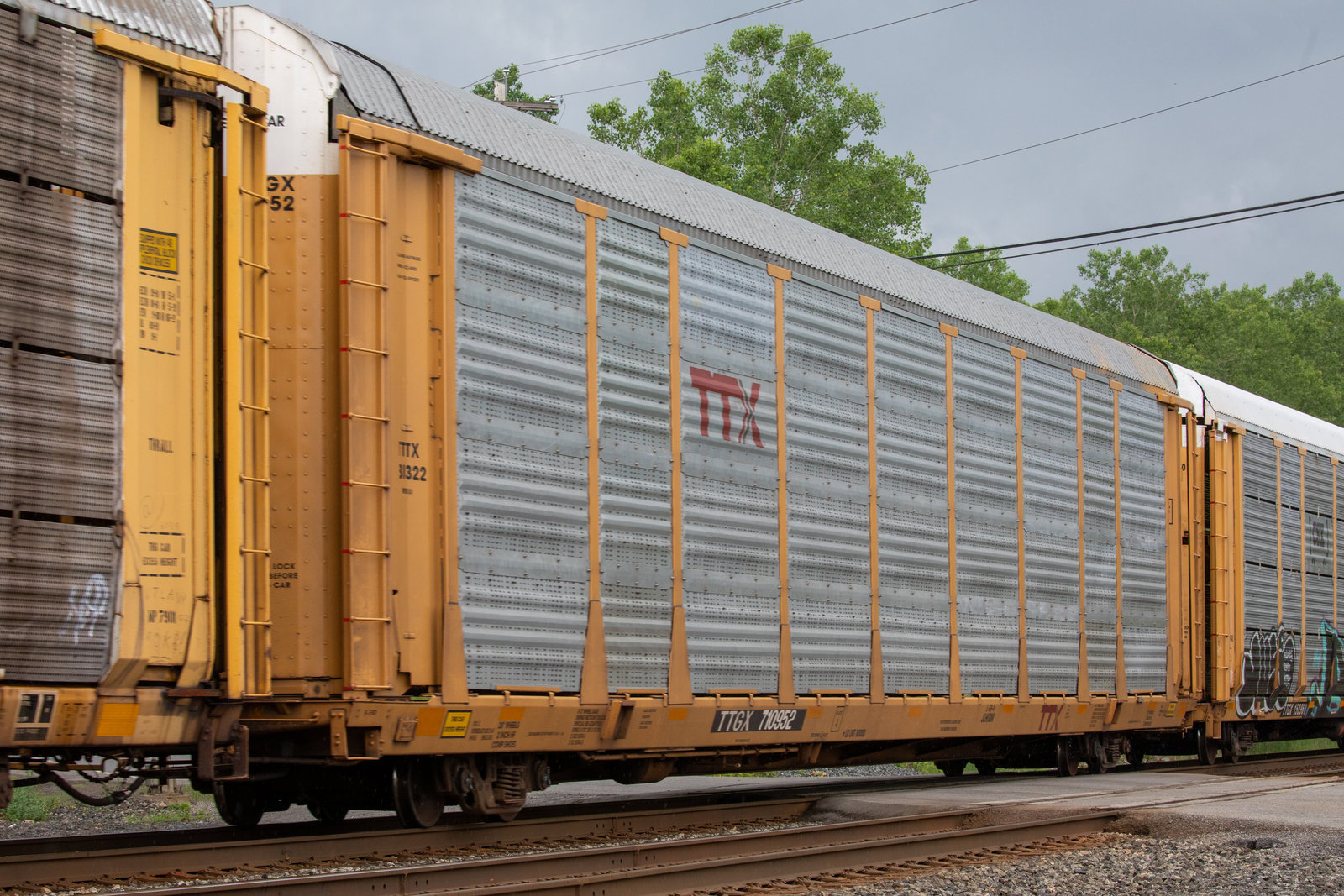 TTGX 710952