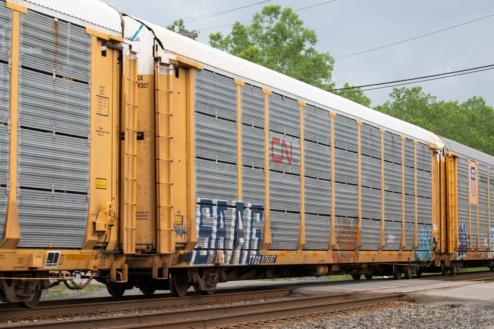 TTGX 979207