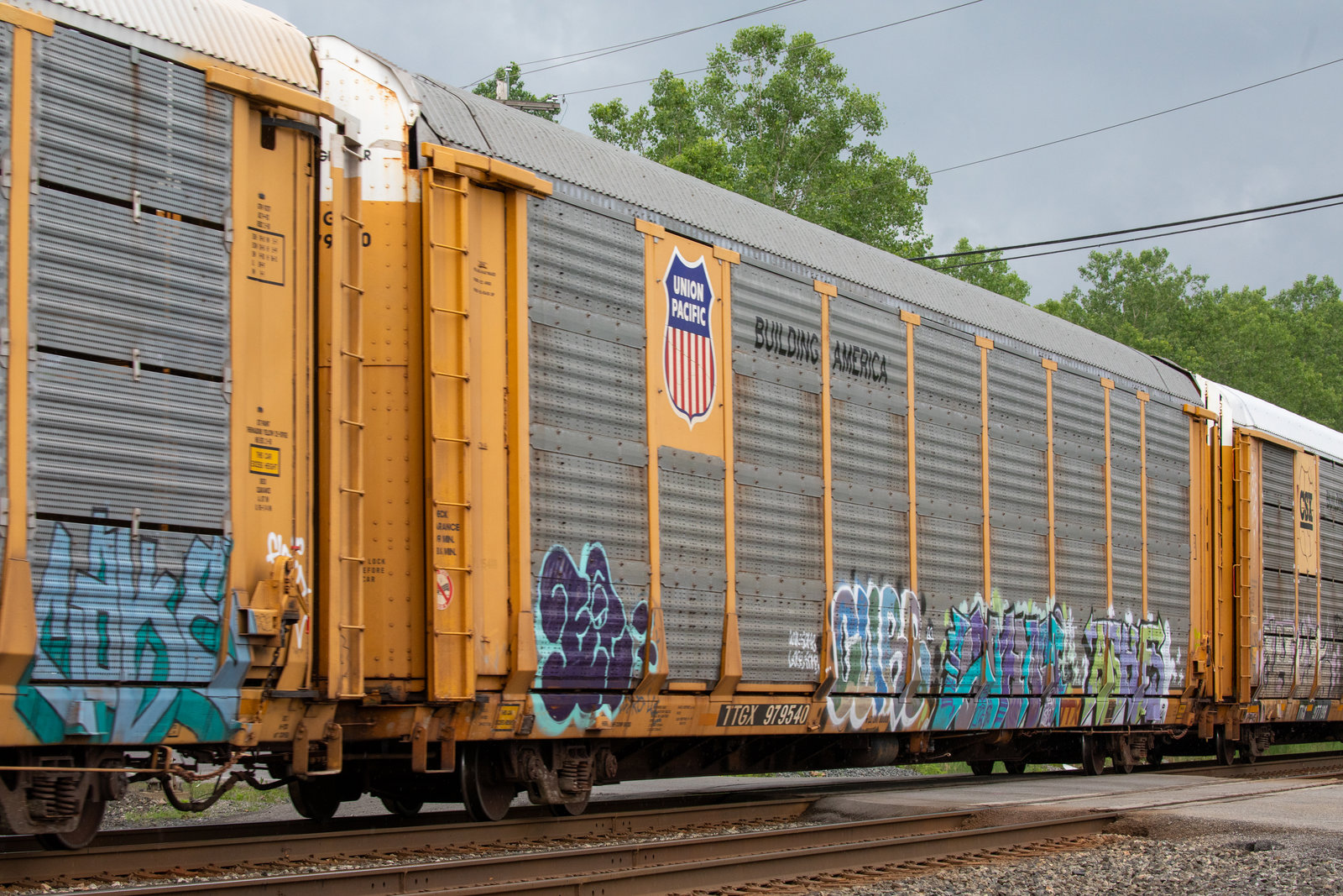 TTGX 979540