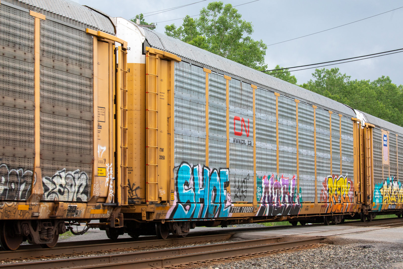 TTGX 702051