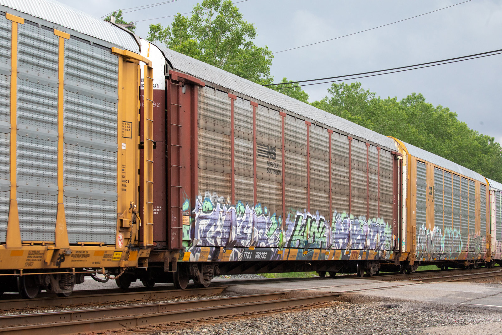 TTGX 982792