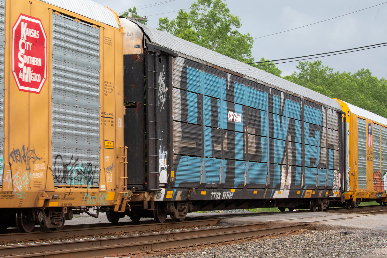 TTGX 983188