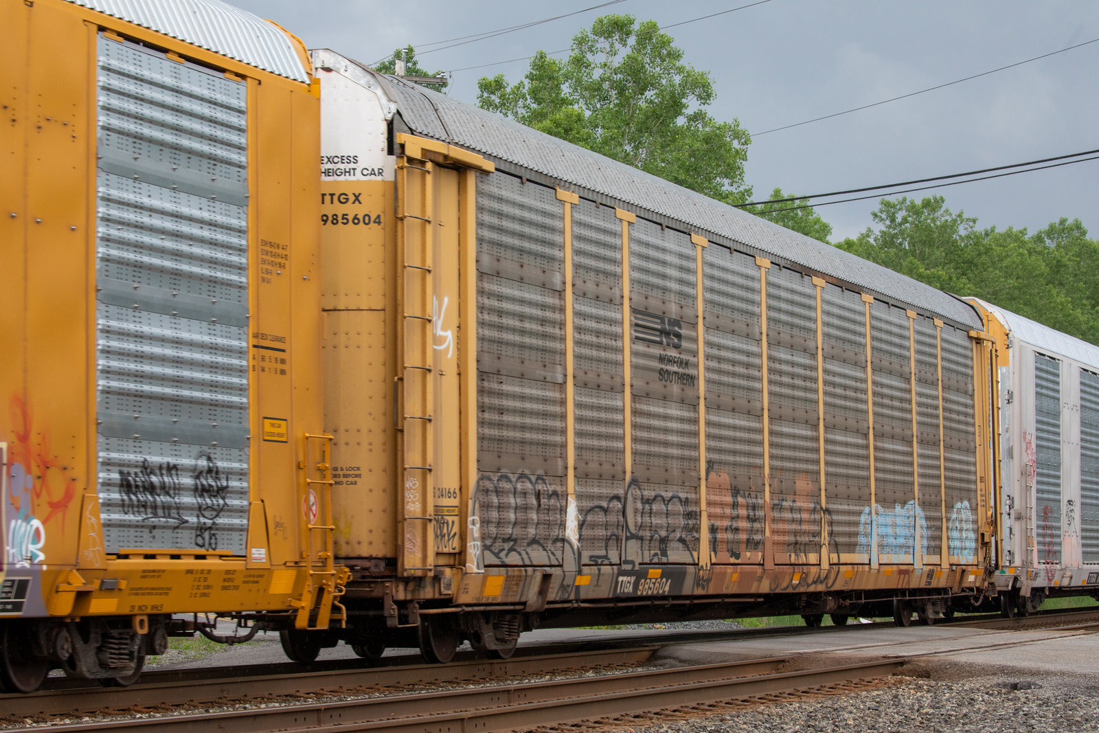 TTGX 985604
