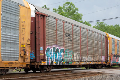 TTGX 981758