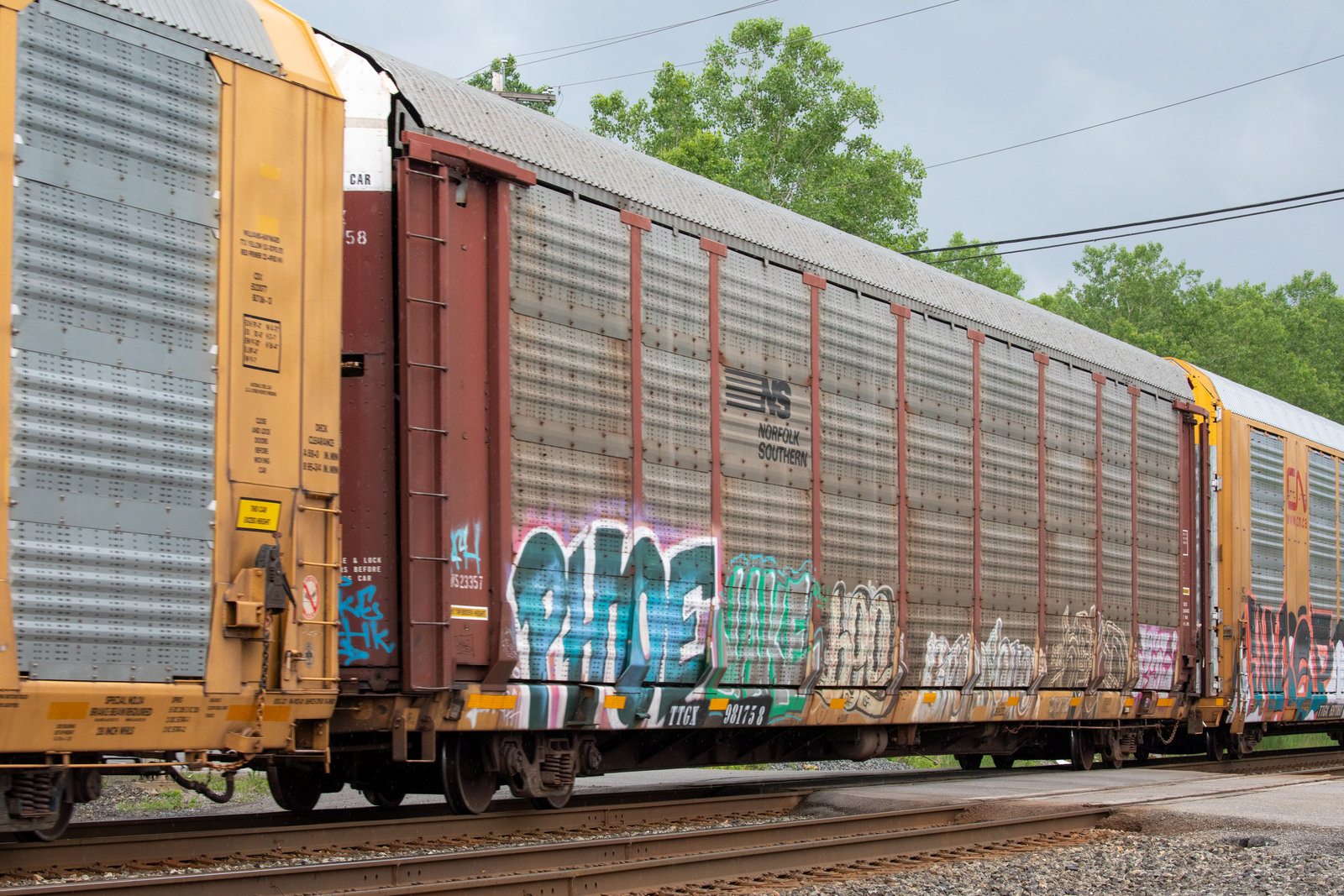 TTGX 981758