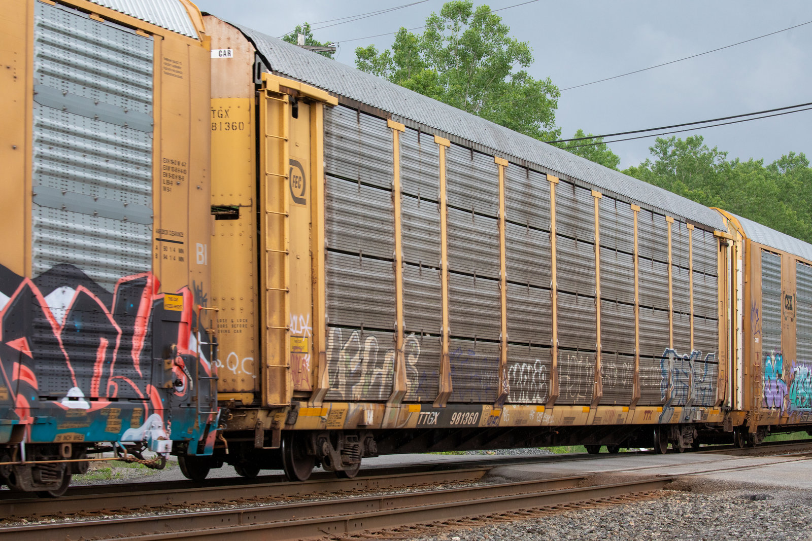 TTGX 981360