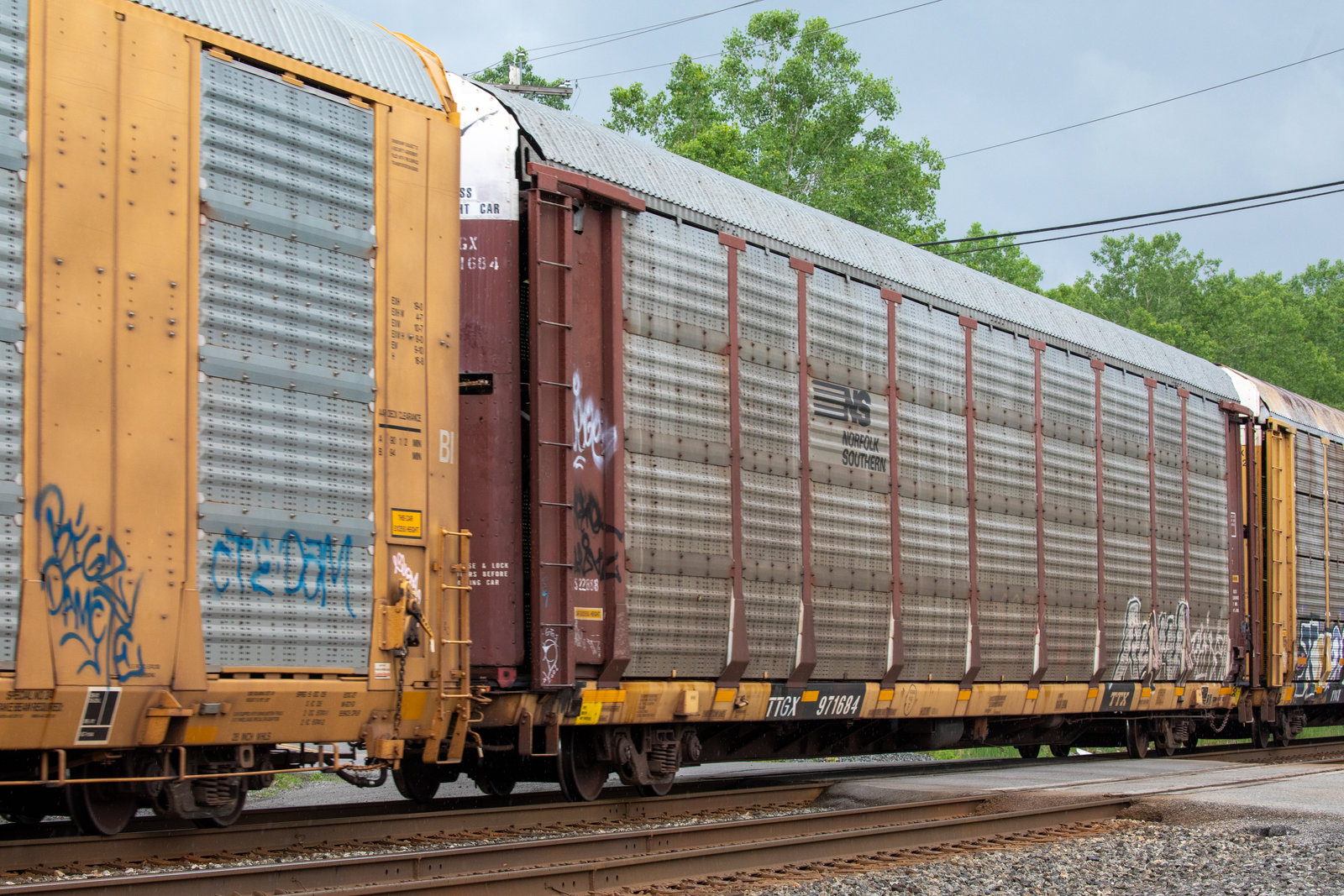 TTGX 971684